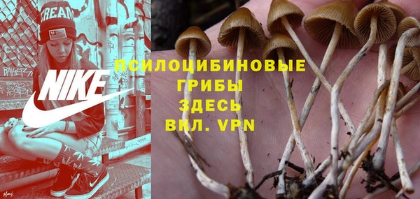 spice Волосово
