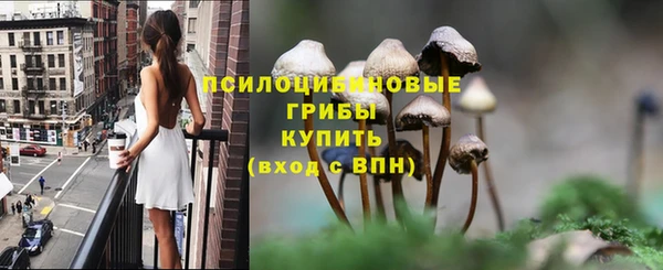 spice Волосово