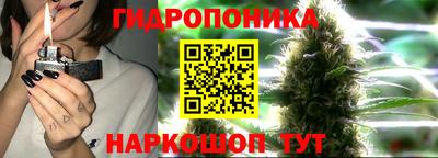 мяу мяу кристалл Можга