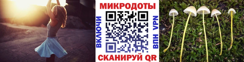 Псилоцибиновые грибы GOLDEN TEACHER Шахты