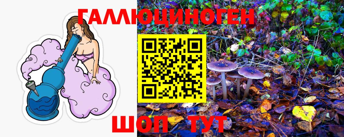 Галлюциногенные грибы Psilocybine cubensis Шахты