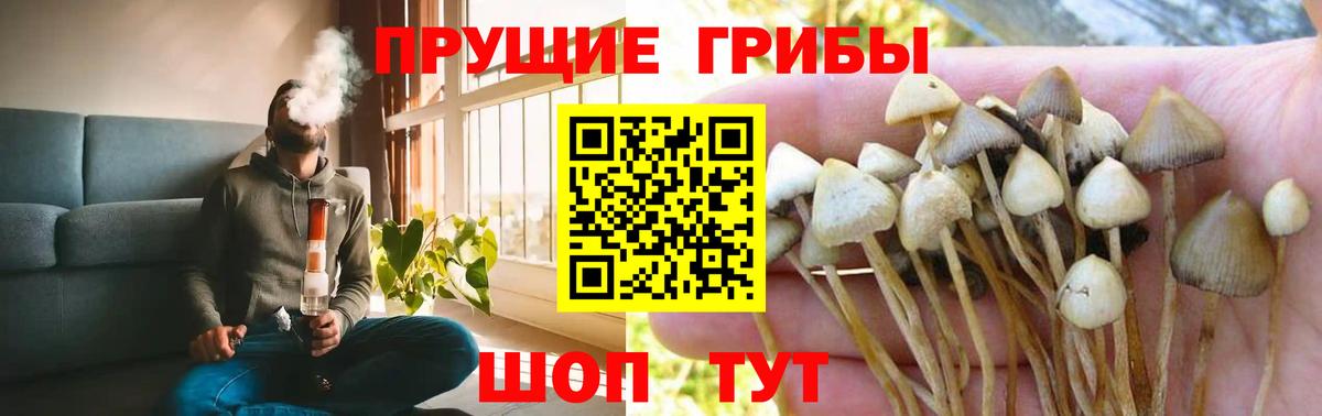 Псилоцибиновые грибы MAGIC MUSHROOMS  купить наркоту  Шахты  Вход с VPN 