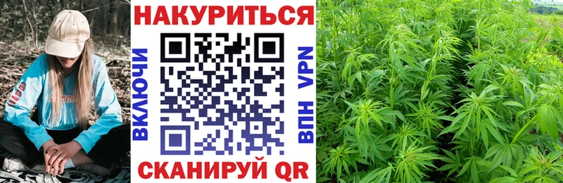 Конопля марихуана  продажа наркотиков  Шахты 