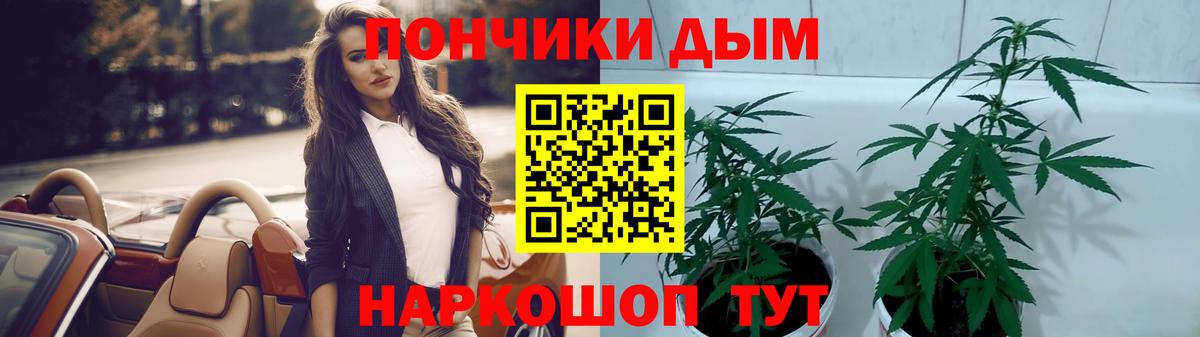 Бошки марихуана марихуана  Вход с VPN  Каннабис план  Шахты  Марихуана SATIVA & INDICA 